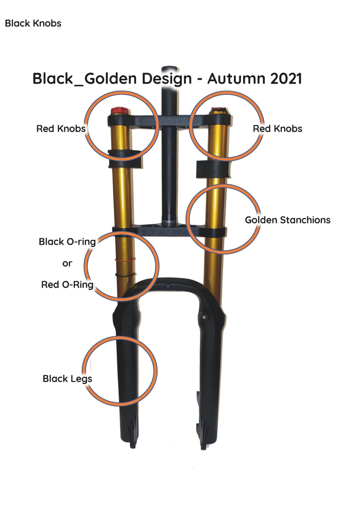 eBP Black Double Crown Fork with Golden Stanchions 26" - Image 3