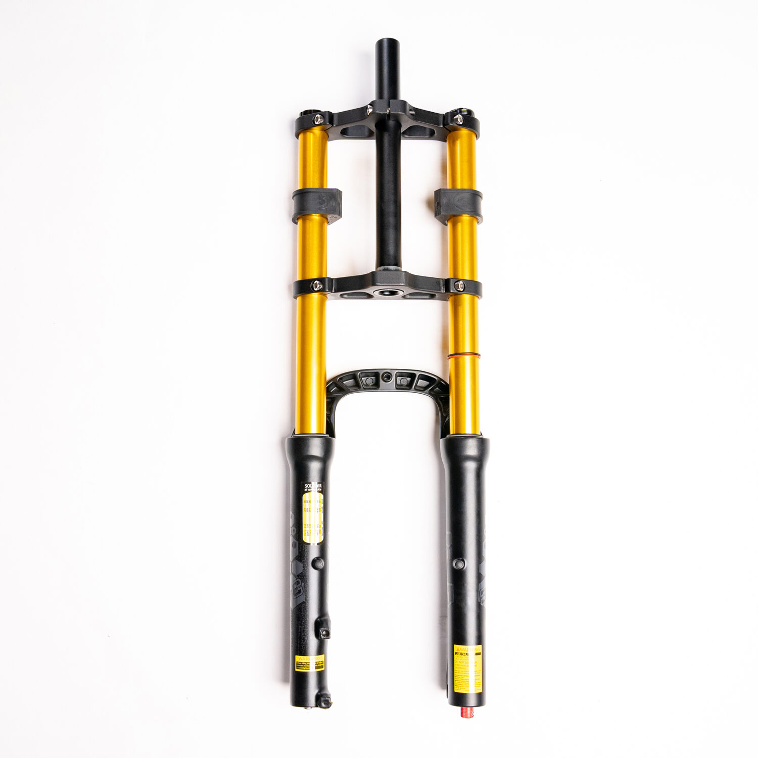 eBP Black Double Crown Fork with Golden Stanchions 20" - Image 2